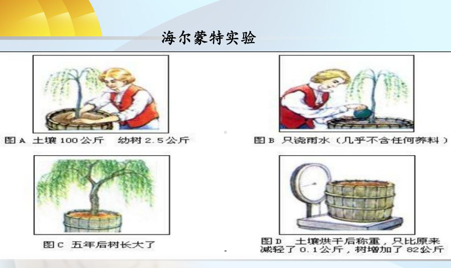 光合作用吸收二氧化碳释放氧气课件.pptx_第3页