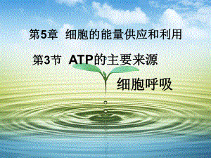 高中生物必修一第五章第三节ATP的主要来源细胞呼吸课件.ppt