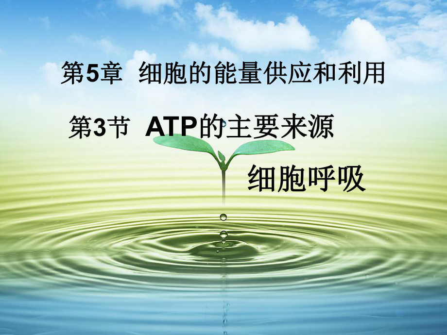 高中生物必修一第五章第三节ATP的主要来源细胞呼吸课件.ppt_第1页