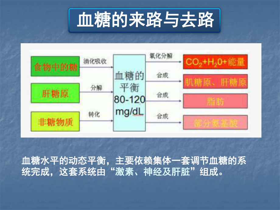 影响血糖水平激素的作用机制课件.ppt_第3页