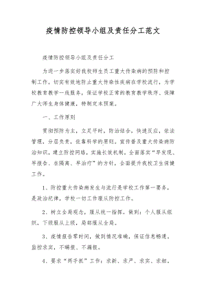 疫情防控领导小组及责任分工范文.docx