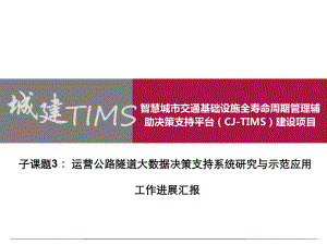 智慧城市交通基础设施全寿命周期管理辅助决策支持平台(CJ-TIMS)建设项目课件.pptx