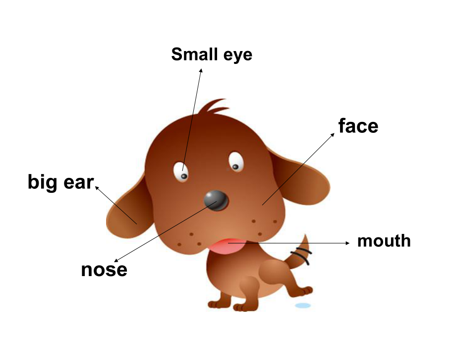 三年级上册英语课件-Unit 3 Look at my nose Lesson 15人教精通版.pptx_第2页