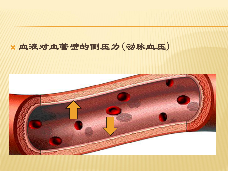 高血压中医适宜技术教案课件.ppt_第3页