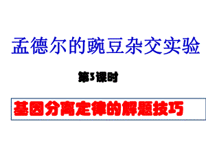 基因分离定律复习-课件.ppt