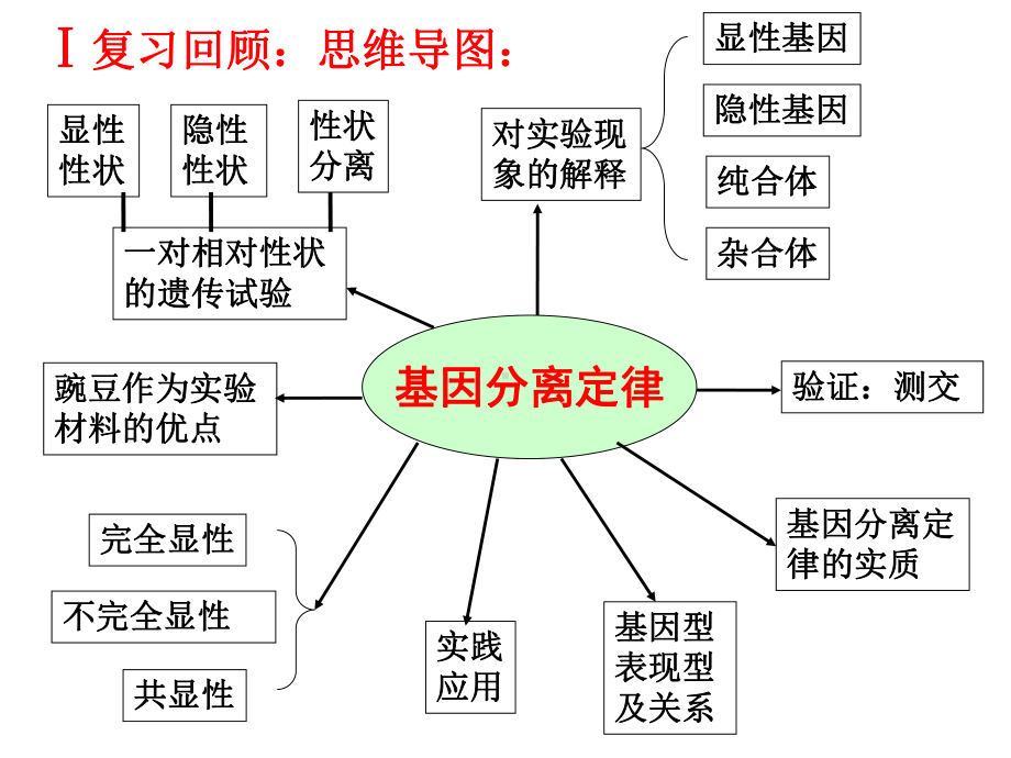 基因分离定律复习-课件.ppt_第2页