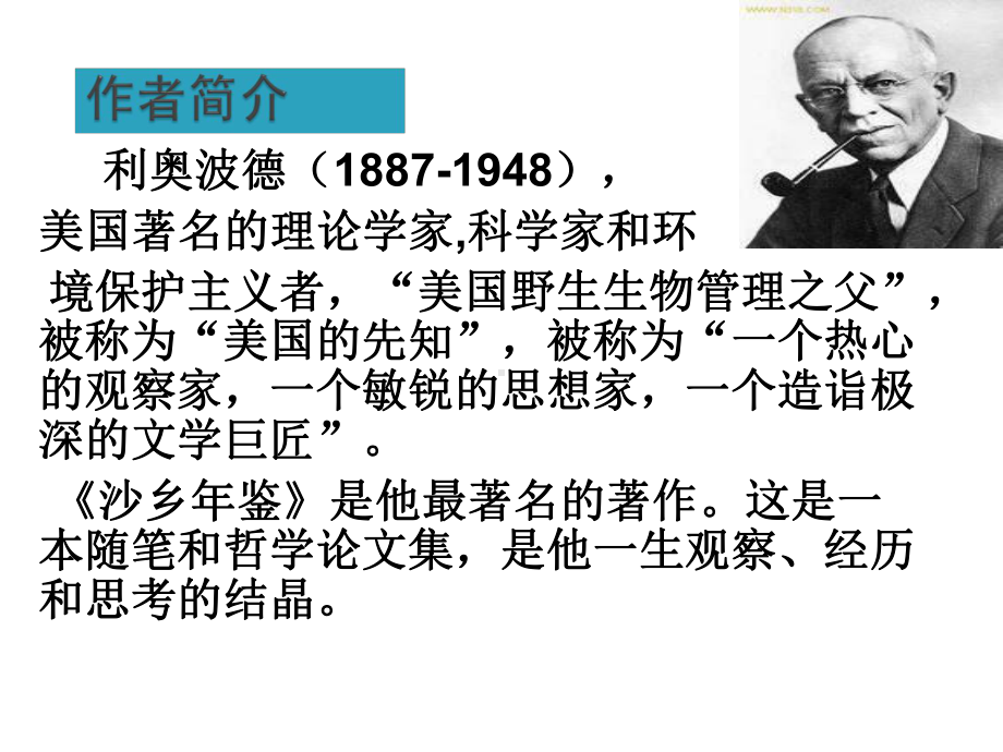 人教版八年级语文下册《三单元阅读14大雁归来》示范课件讲义0.ppt_第3页