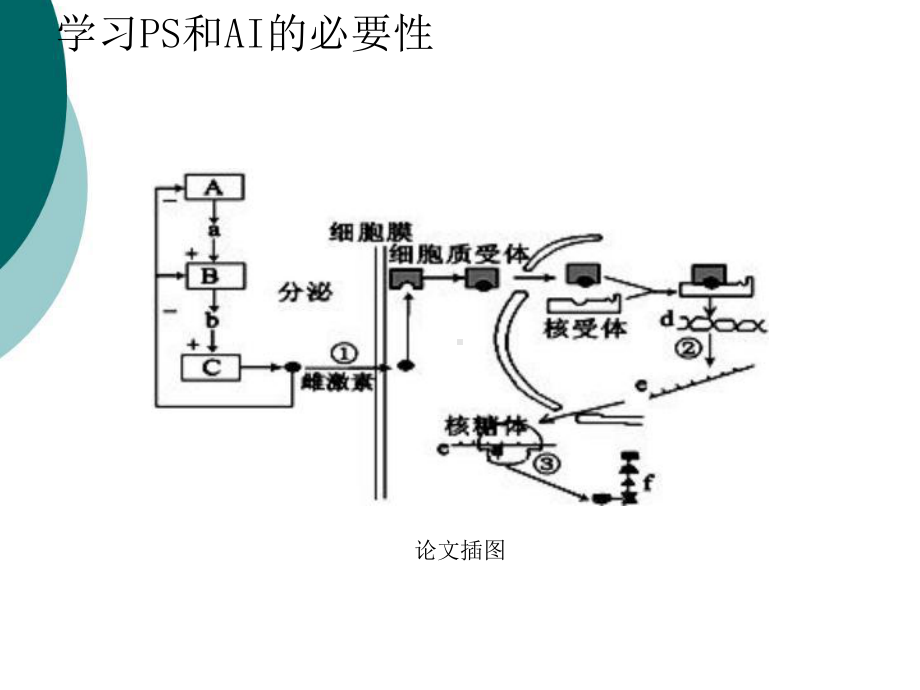 SCI论文插图规范课件.ppt_第3页