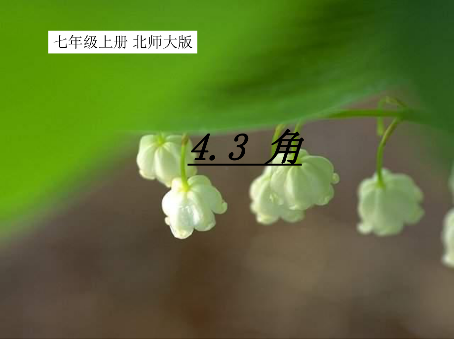 北师大版七年级上册数学-43角-课件.ppt_第2页