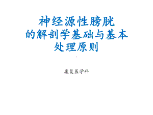 神经源性膀胱的解剖学基础与基本处理原则（康复医学科）-课件.pptx