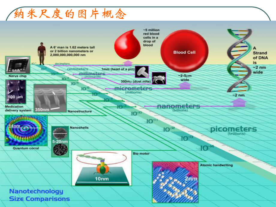 第三章+电子显微分析-TEM+1课件.pptx_第3页