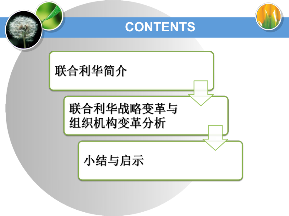 联合利华战略与组织结构变革课件.pptx_第1页