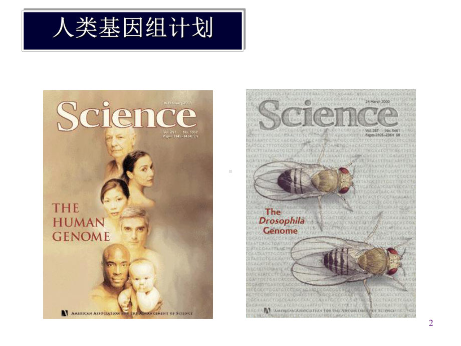 生物信息学基因组分析课件.ppt_第2页