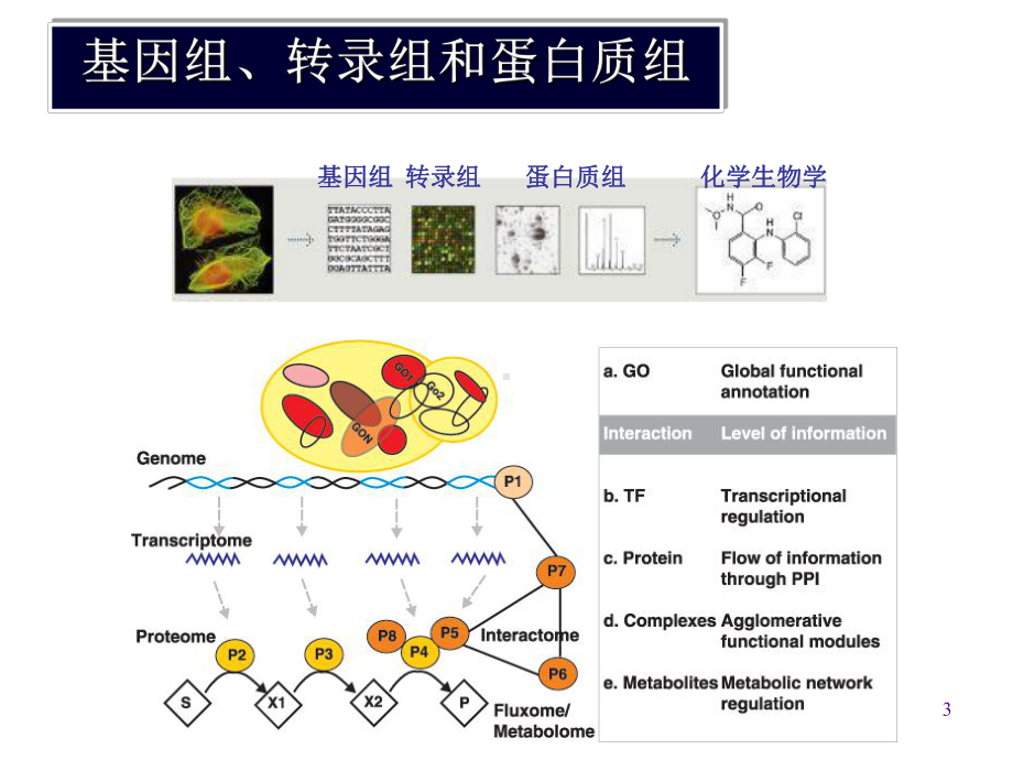 生物信息学基因组分析课件.ppt_第3页