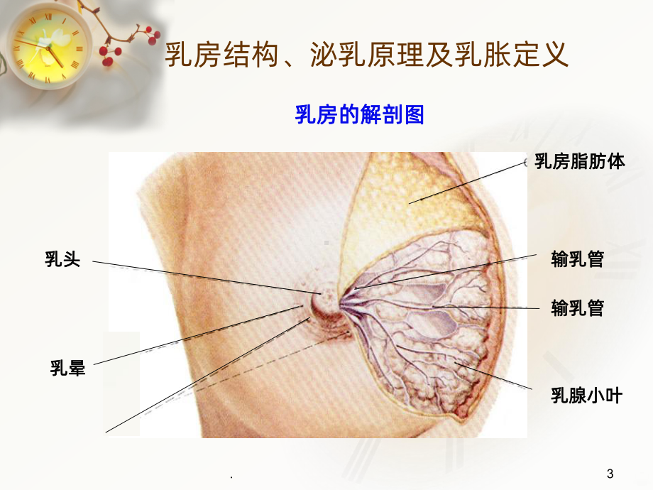 产后乳胀的护理(新)课件.ppt_第3页