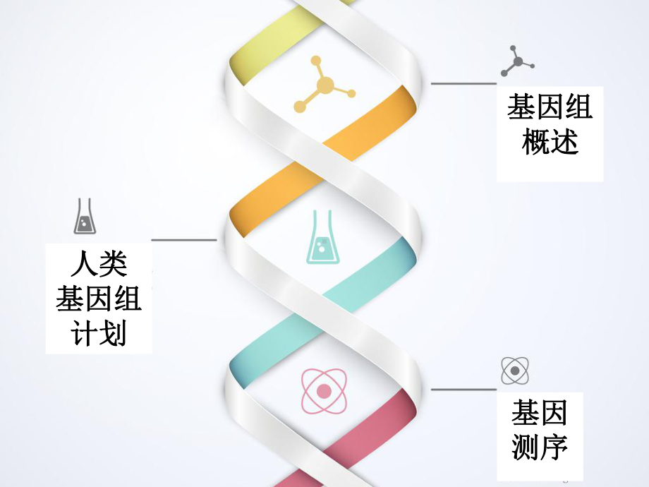 人类基因组计划与基因测序课件1.ppt_第2页