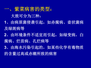 紫菜栽培学7病害课件.pptx