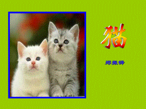 郑振铎《猫》定稿课件讲课.ppt