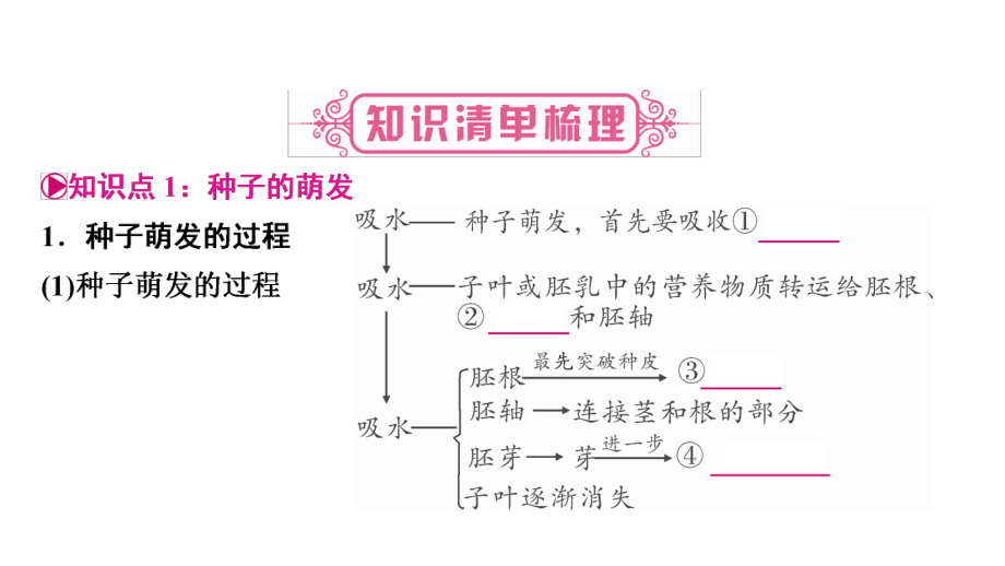 冀少版八年级生物上册期末复习课件(一).pptx_第2页