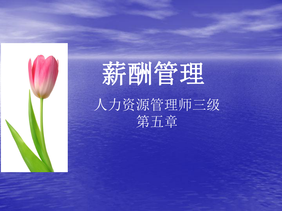 薪酬管理课件(8-11).ppt_第1页