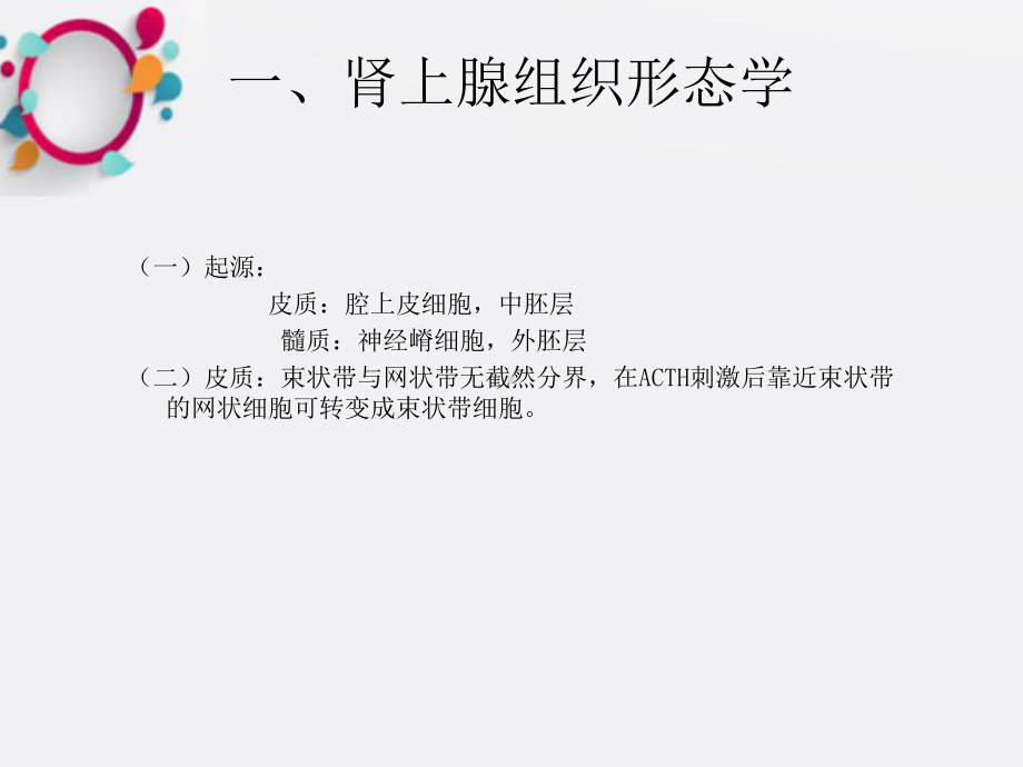 《肾上腺疾病》课件.ppt_第2页