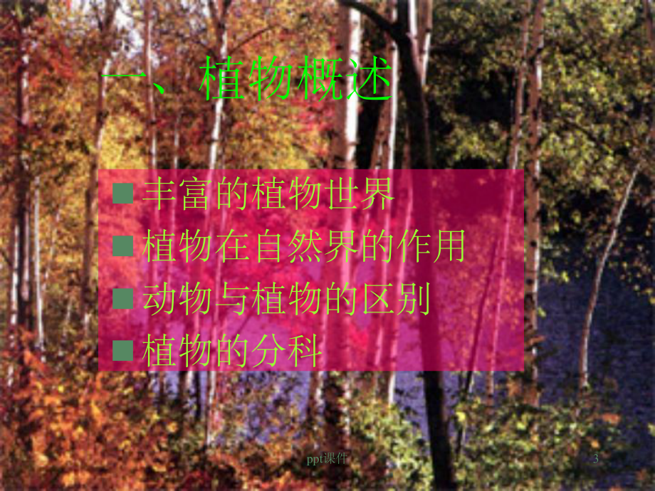 《植物世界》课件.ppt_第3页