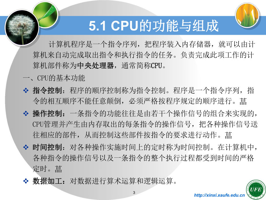 计算机组成原理课件5中央处理器.ppt_第3页