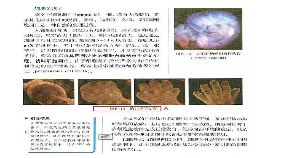 2021高考全国一卷生物试题讲评课件.pptx_第3页