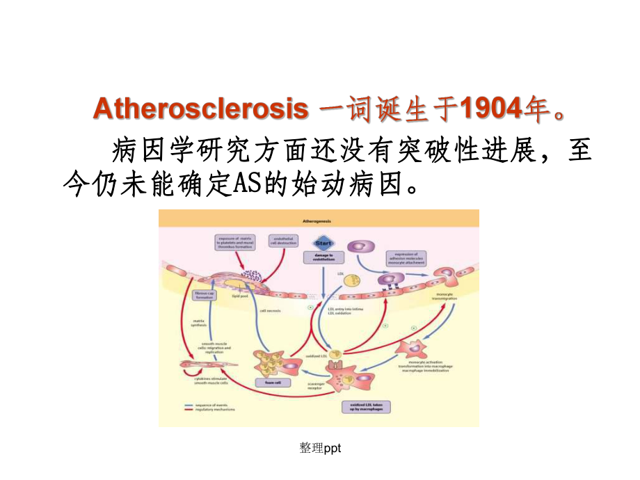 动脉粥样硬化中生物标志物的研究进展课件.ppt_第3页