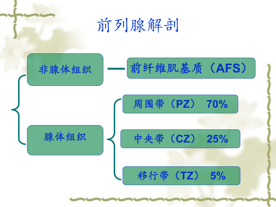 前列腺癌影像诊断（影像科）-课件.ppt_第2页