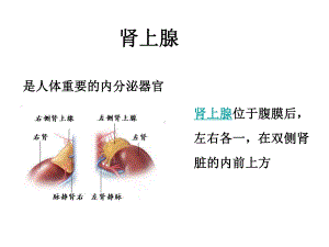 医学嗜铬细胞瘤手术的麻醉课件.pptx