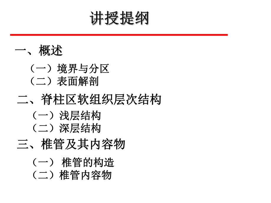 脊柱区解剖-课件.ppt_第3页