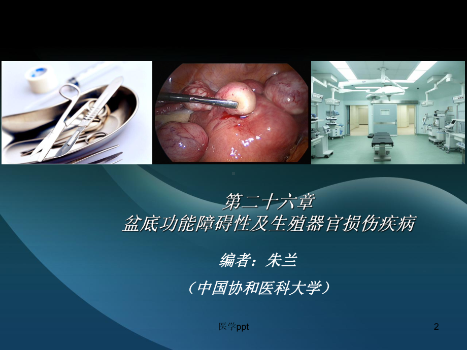 盆底功能障碍性及生殖器官损伤疾病课件3.ppt_第2页