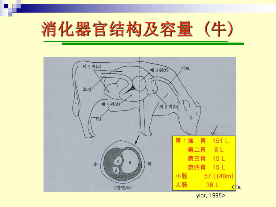 反刍动物消化与生理课件.pptx_第2页