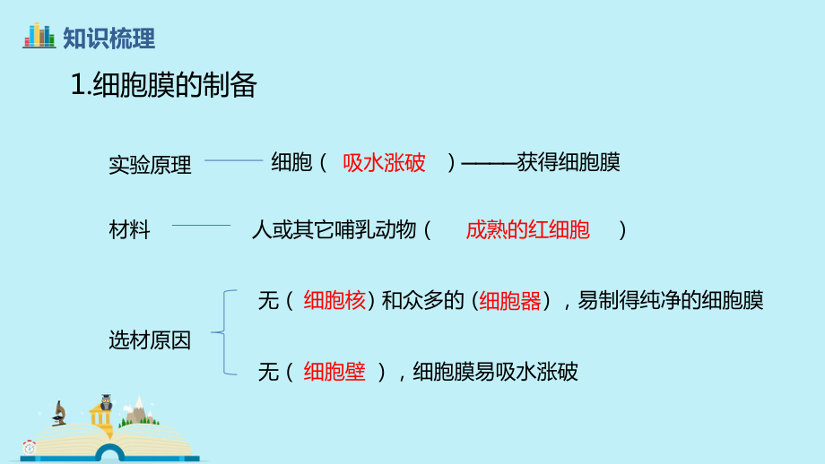 一轮复习细胞膜与细胞核课件.pptx_第3页