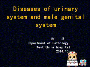 9泌尿系统病理学课件1.ppt