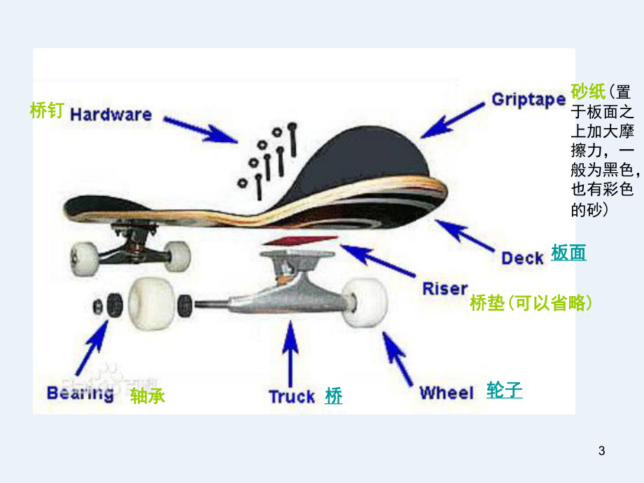 滑板的结构简介课件.ppt_第3页