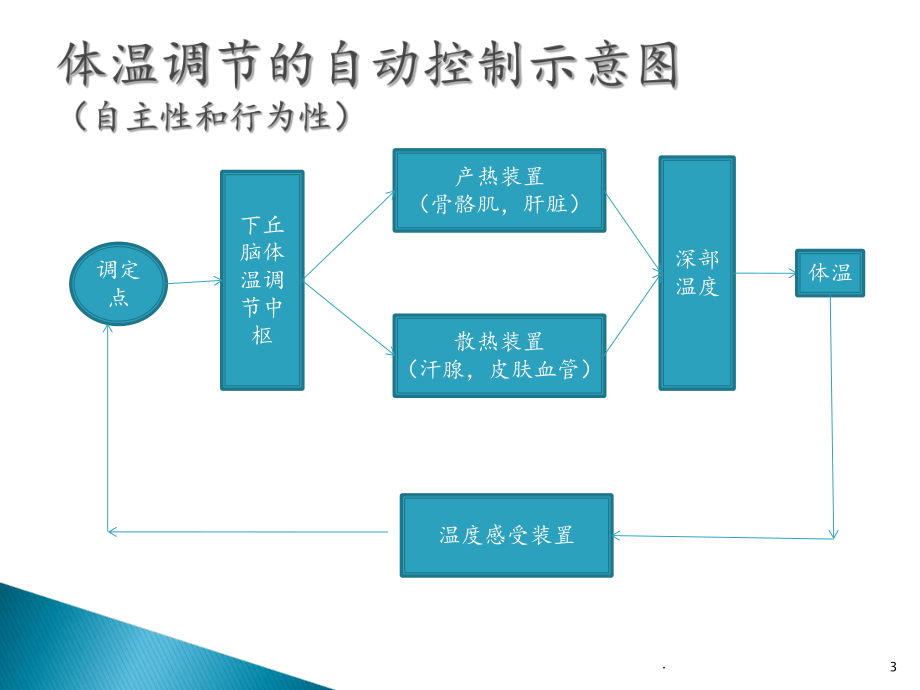 麻醉期间的体温管理课件.ppt_第3页