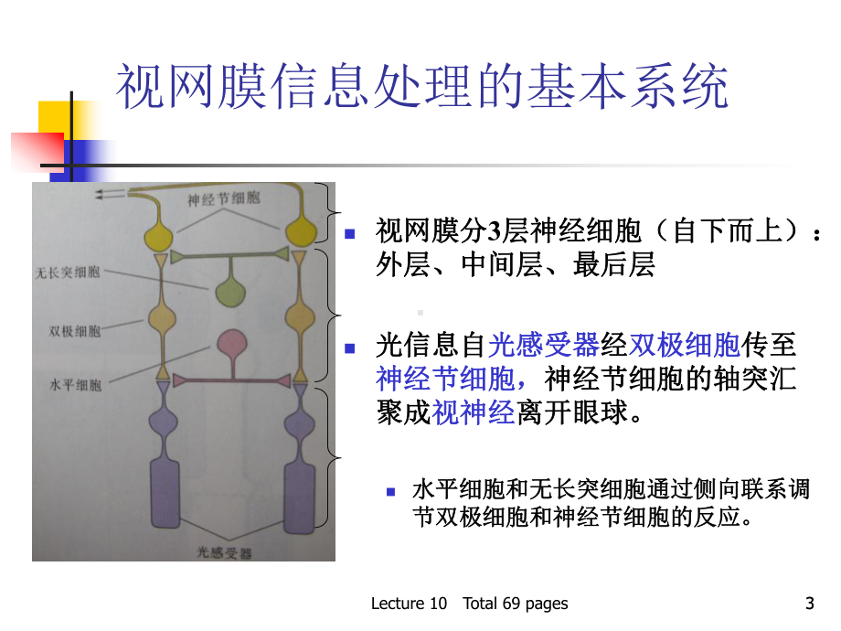 神经网络之-递归神经网络课件.ppt_第3页