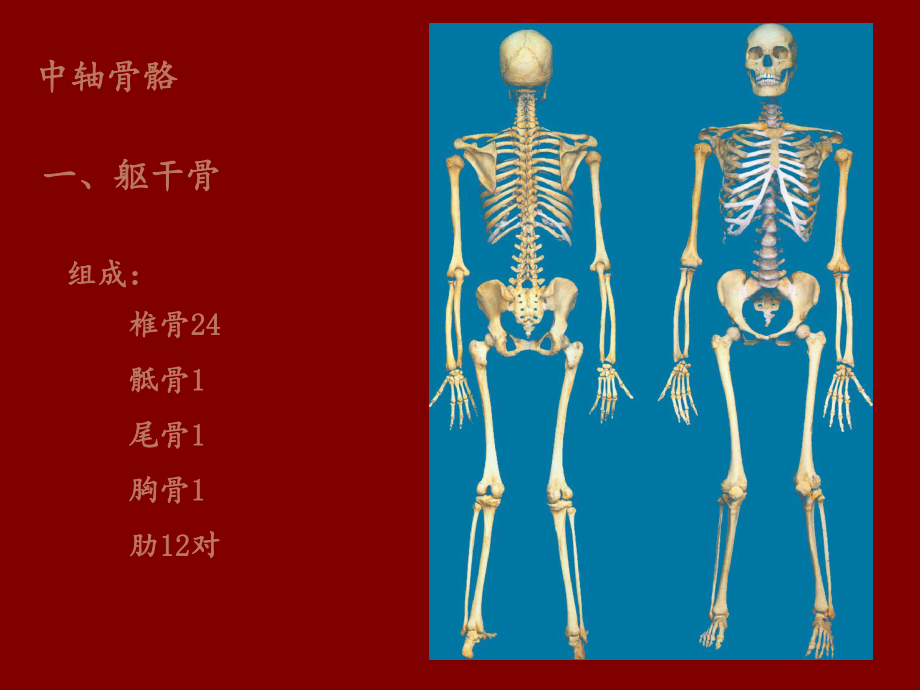 脊柱摄影课件.ppt_第2页