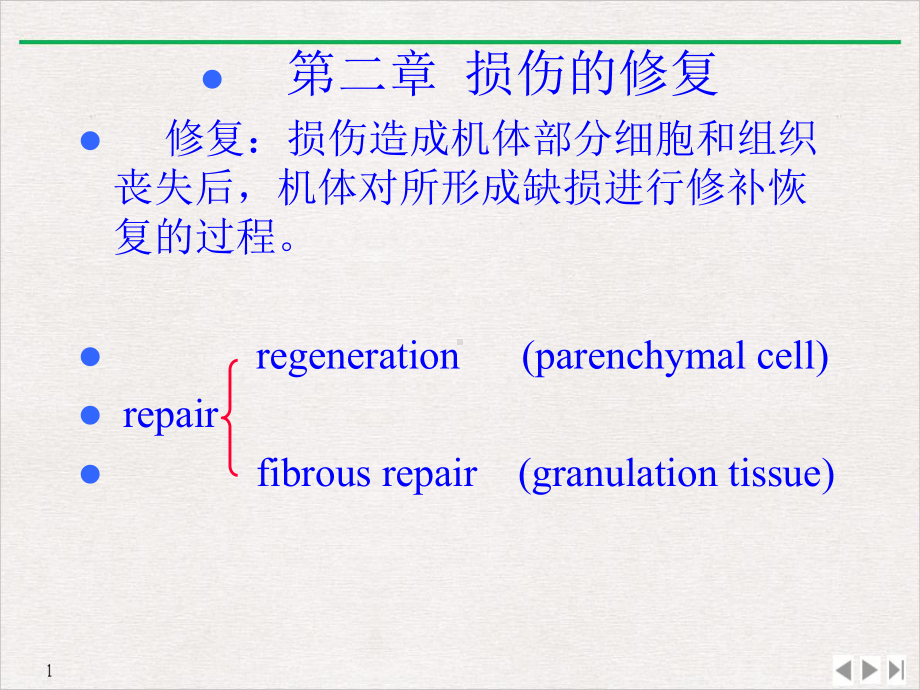 第二章损伤的修复课件.ppt_第1页