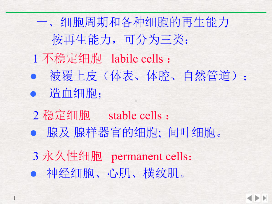 第二章损伤的修复课件.ppt_第3页