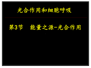 生物必修一苏教版-四节-细胞呼吸课件.ppt