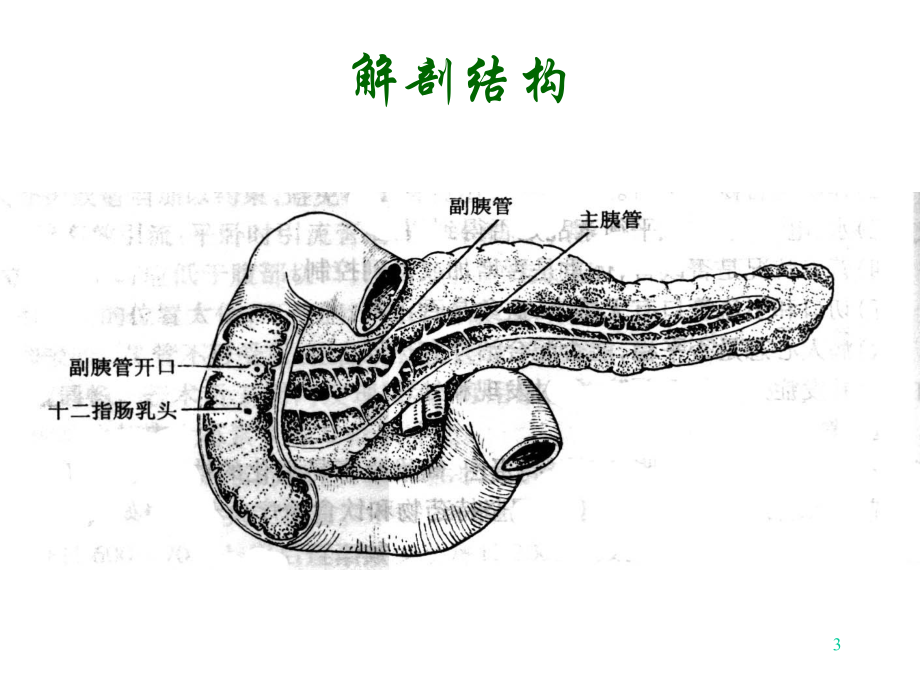 第二十七章胰腺疾病病人的护理课件.ppt_第3页