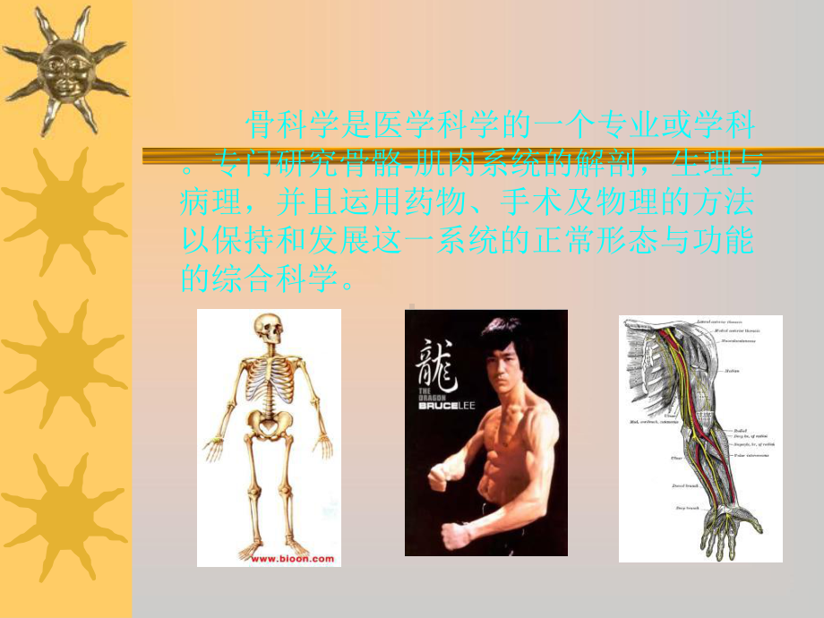 骨科医师的成长与感悟课件.ppt_第3页