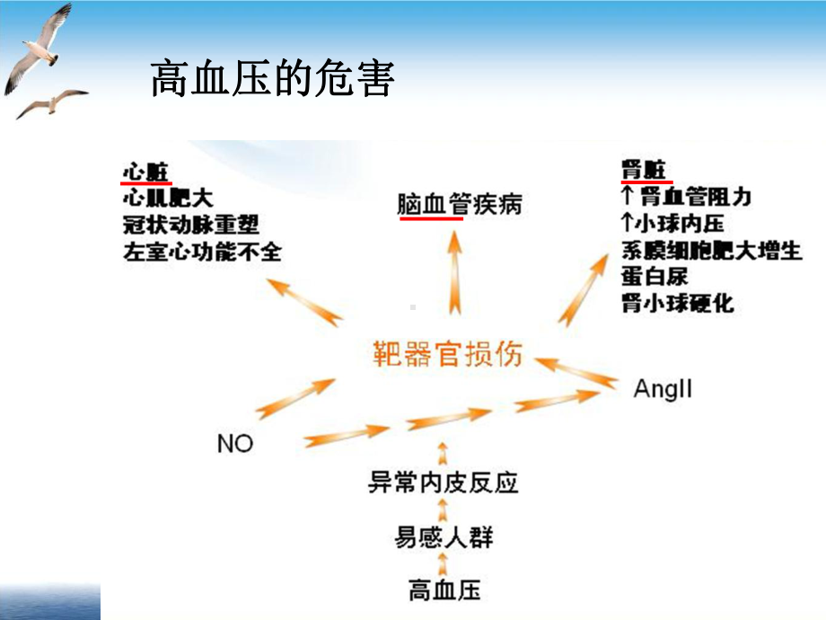 高血压防治及合理用药教学课件.ppt_第3页