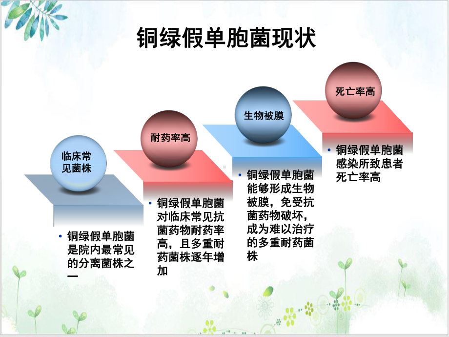 科室会联合西普乐治疗铜绿假单胞菌感染的最佳选择优秀案例课件.ppt_第3页