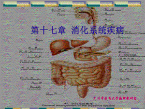 第十七章消化系统疾病课件.pptx