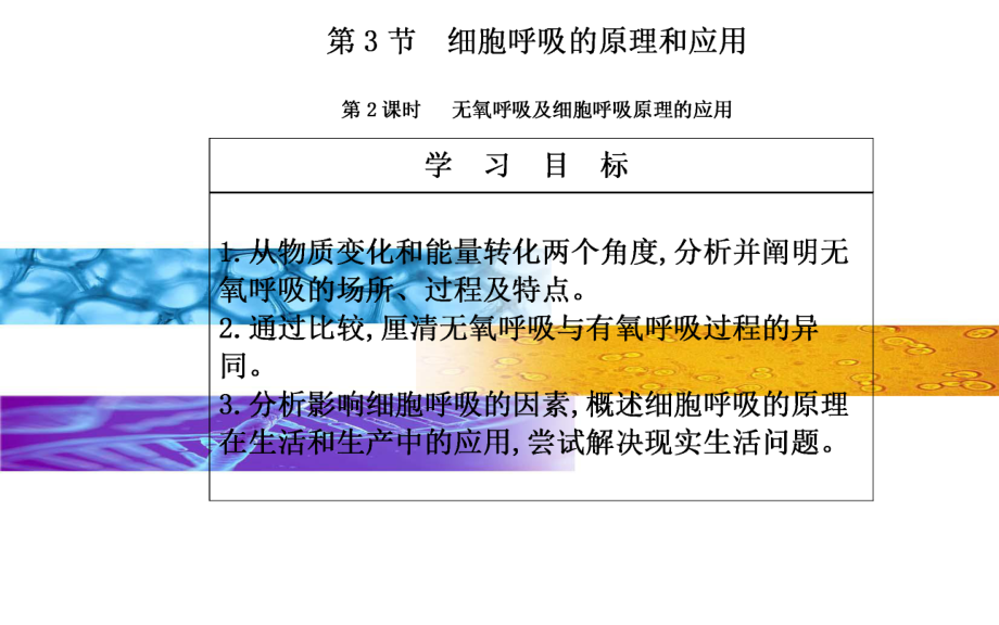 细胞呼吸的原理和应用课件2.pptx_第2页