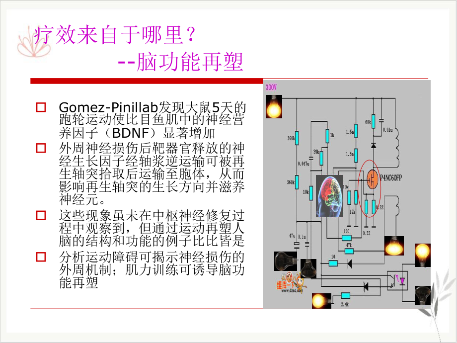 神经康复走进证据时代课件.pptx_第1页